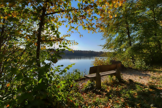 狗子28官网 - 追求健康,你我一起成长